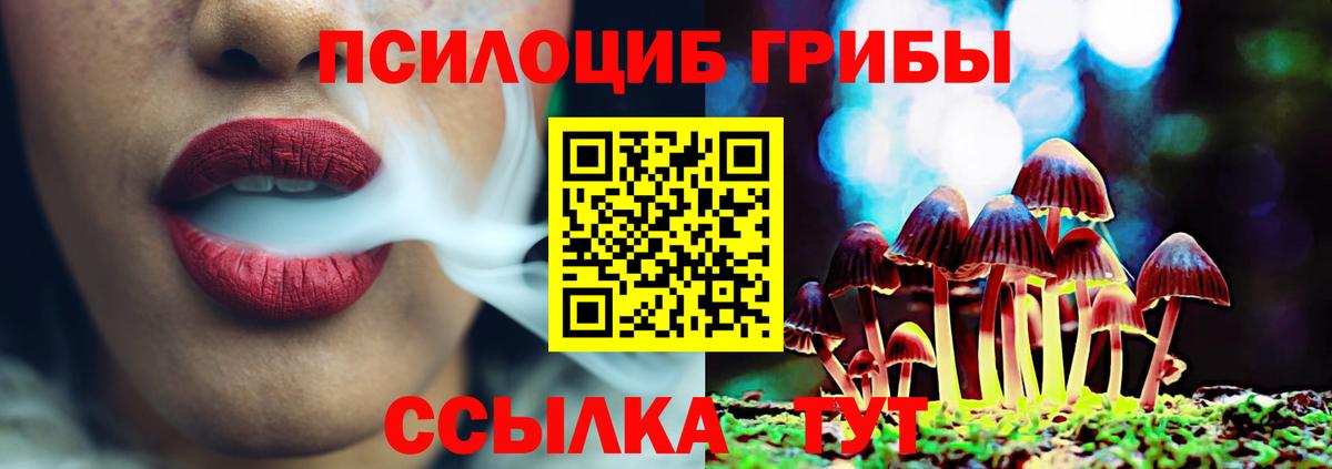 Шатура  Псилоцибиновые грибы мицелий  Вход с VPN 