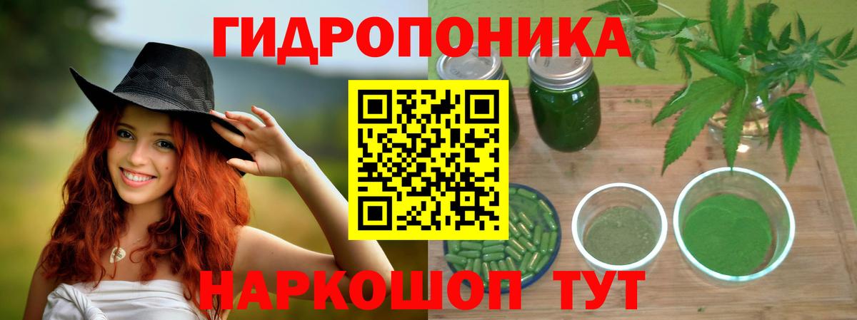 Шатура  Бошки Шишки ГИДРОПОН  Конопля Bruce Banner  Вход с VPN 